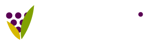 Vivaldii